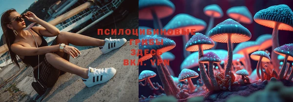 трава Балахна