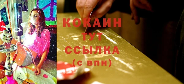 трава Балахна